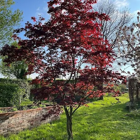 Apartamento Hempen Fied Gaestehaus - 1 Bad Zwischenahn